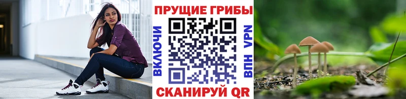 магазин  наркотиков  KRAKEN ONION  Галлюциногенные грибы Psilocybe  Новоаннинский 